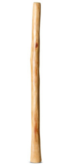 Medium Size Natural Finish Didgeridoo (TW1271)